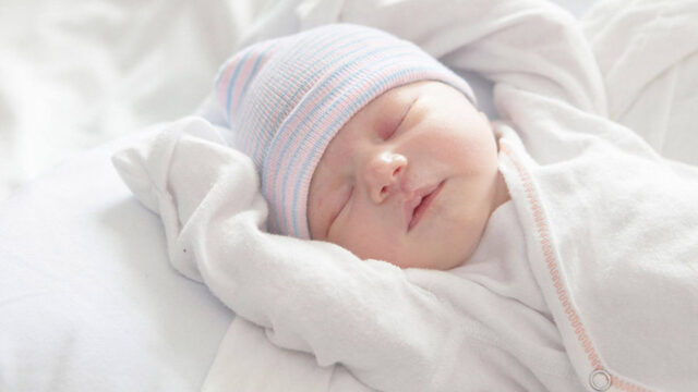 Nacer o desaparecer. Emmanuel Martínez Alcocer