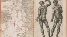 Contra la Leyenda Negra. Juan Valverde de Amusco, un médico español del Siglo XVI. José Alsina