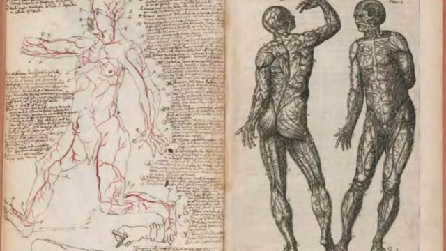 Contra la Leyenda Negra. Juan Valverde de Amusco, un médico español del Siglo XVI. José Alsina