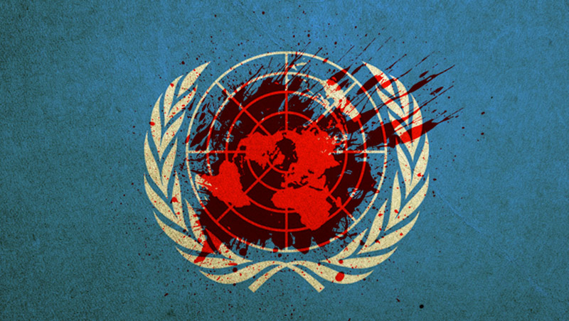 La Organización de las Naciones Unidas. Daniel Rodríguez |