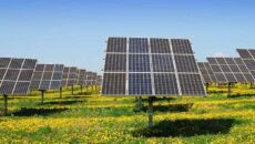 Apadrina un panel. Axel Seib