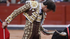 Tardes de soledad. José Vicente Pascual