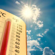 Calor. José Vicente Pascual