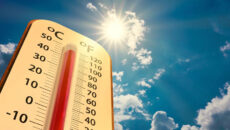 Calor. José Vicente Pascual