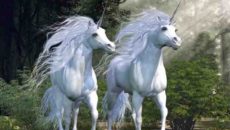 ¿Sueña el gobierno con unicornios carnívoros?. José Vicente Pascual