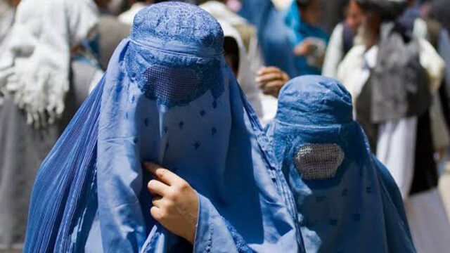 De velos y veletas (II). Axel Seib